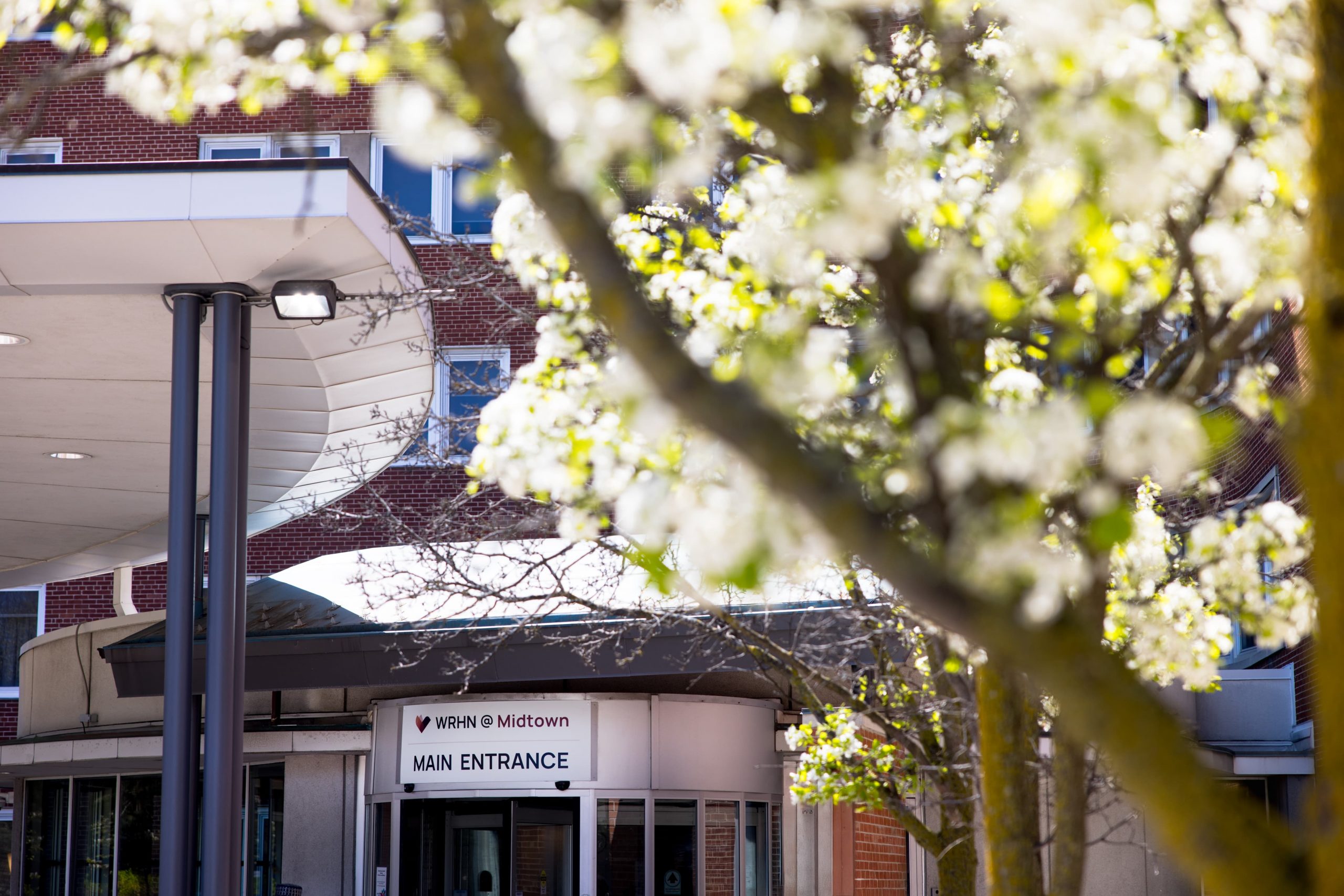 Entrance to a medical facility partially obscured by blooming trees; sign reads "Main Entrance, IU Health Midtown.
