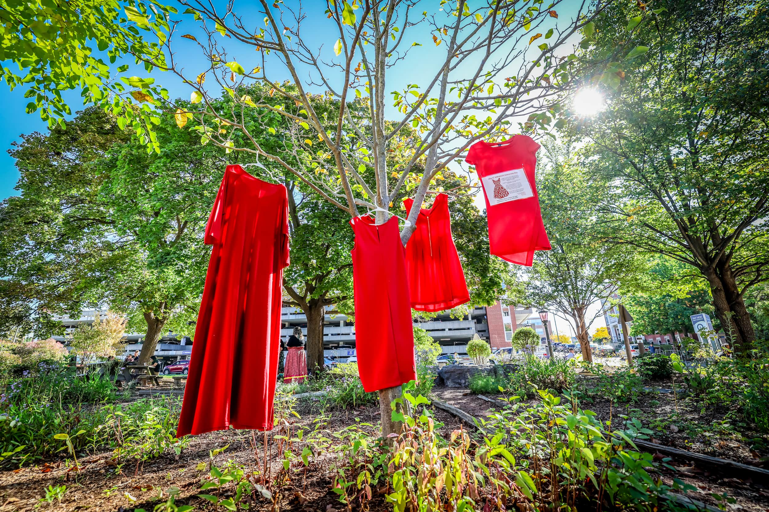 Three red dresses hang from the branches of a small tree in a garden area, with sunlight filtering through green foliage.
