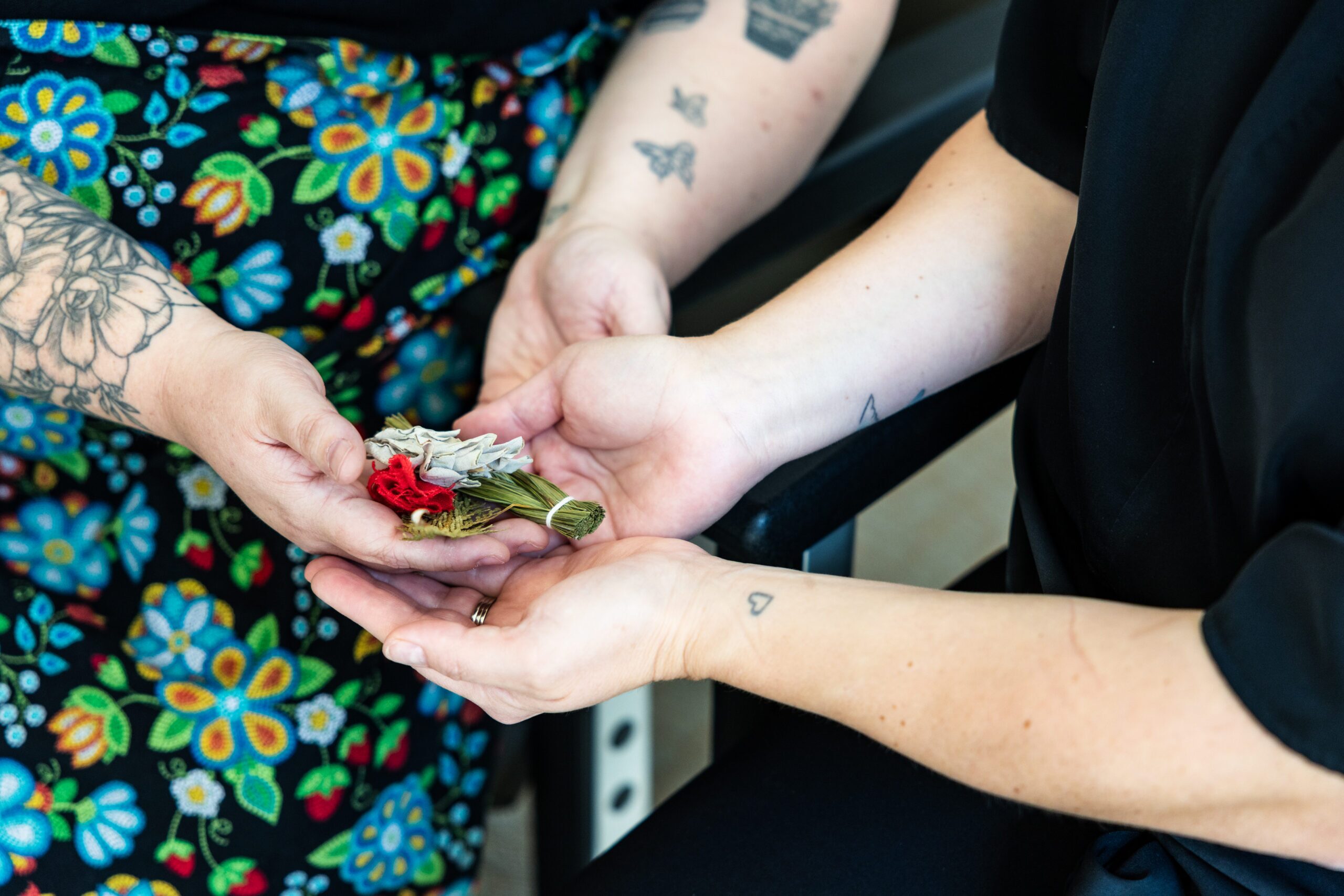Two sets of hands hold traditional Indigenous medicines.